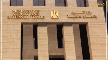 هام وعاجل.. بدء تحديث بيانات بطاقات التموين عبر استمارة إلكترونية لمدة 3 أشهر 1